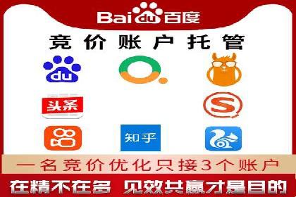 SEM竞价代运营：案例展示广告投放优化技巧